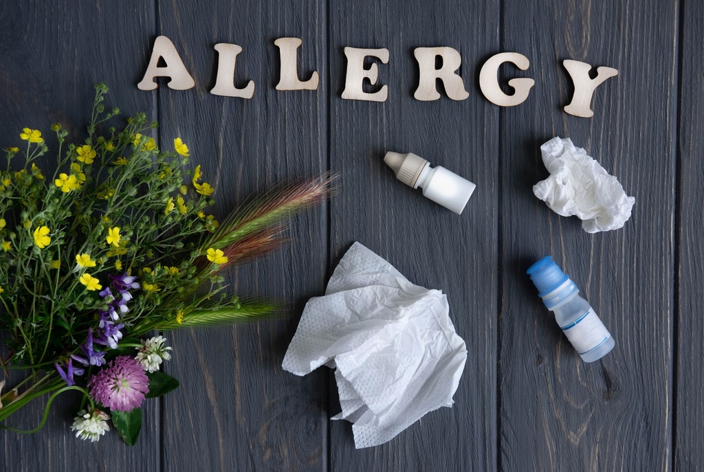 Allergy — The Family Guide 
